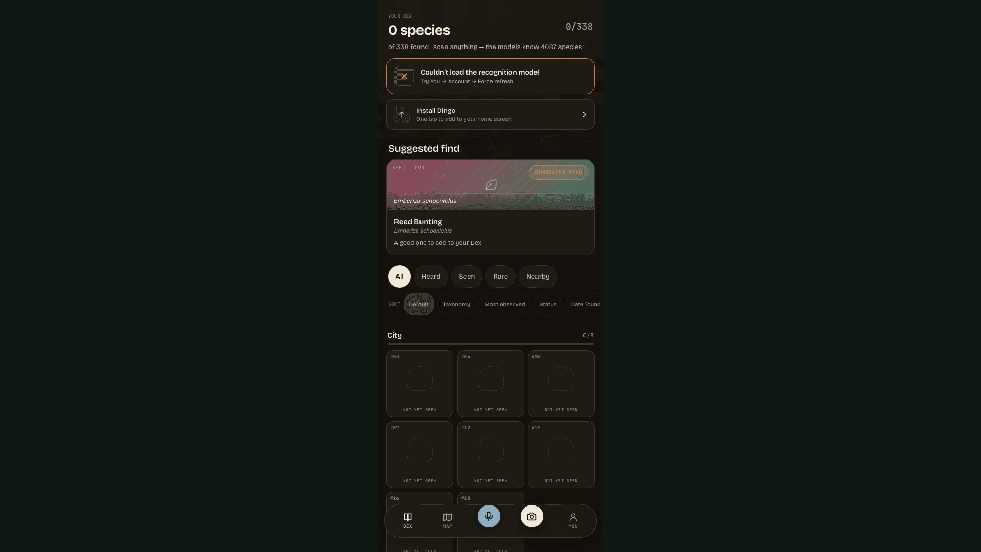Dingo — Identify the wildlife around you.